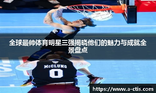 伟德bv国际体育