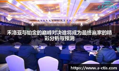 伟德bv国际体育