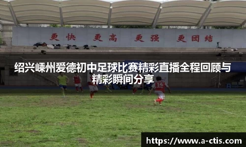 伟德bv国际体育